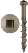 6.5x50 (#12 x 2") Chrome Plated SQ Drive #2 Wall Katt