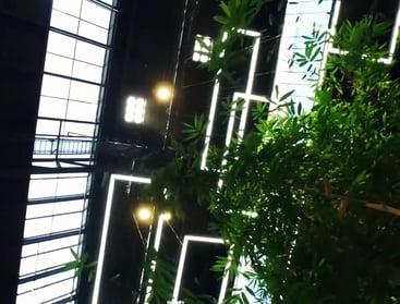 Flat atrium 6 array SunBeamers